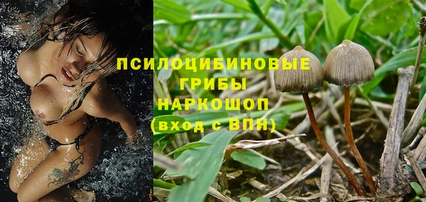 а пвп мука Инта