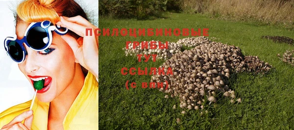 ECSTASY Инсар