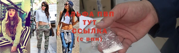 ECSTASY Инсар