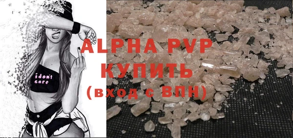 ECSTASY Инсар