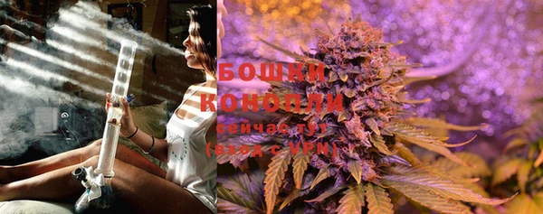 ECSTASY Инсар